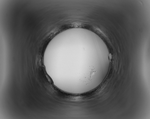 X0000086310313200704202007