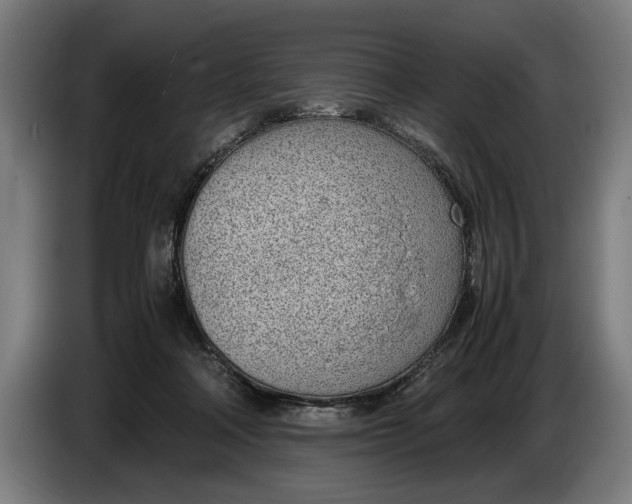 X0000086310314200704202007