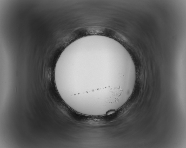 X0000086310315200704202007