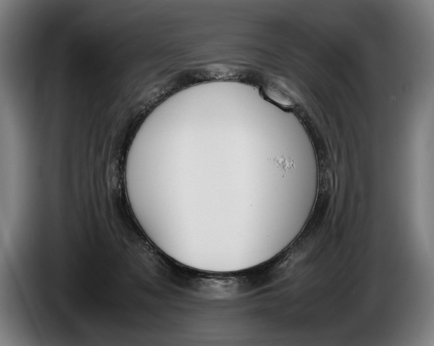 X0000086310317200704202007