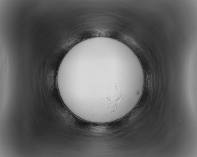 X0000086310318200704202007