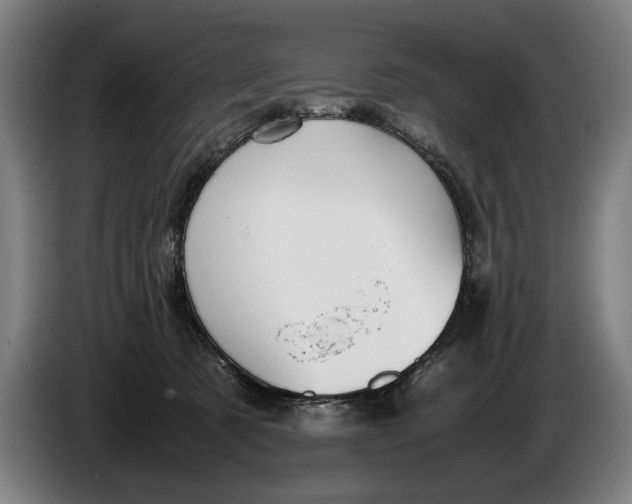 X0000086310321200704202007