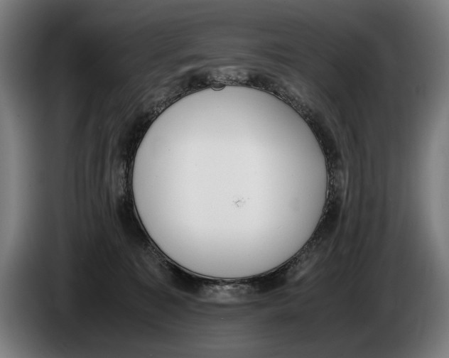 X0000086310323200704202007