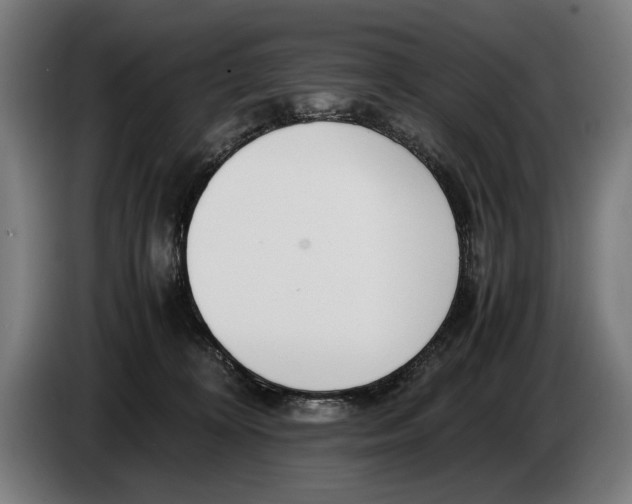 X0000086310324200704202007