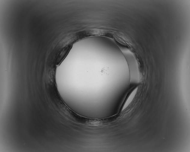 X0000086310325200704202007