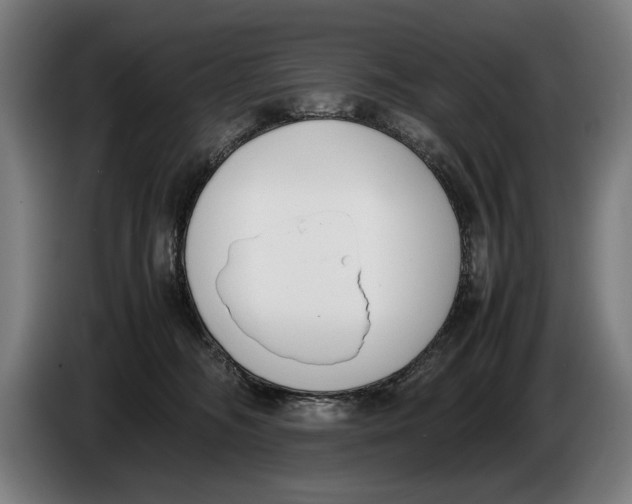 X0000086310326200704202007