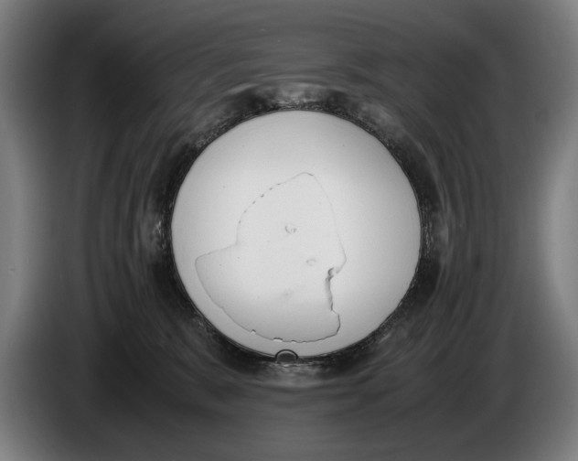 X0000086310327200704202007