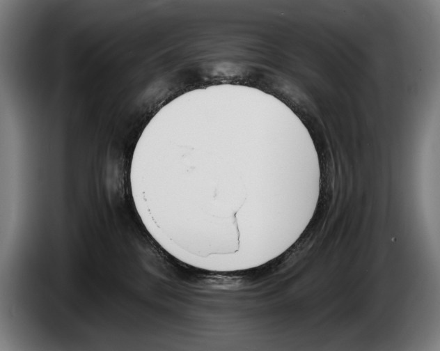 X0000086310328200704202007