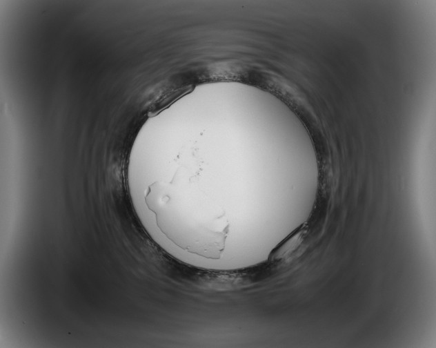 X0000086310329200704202007