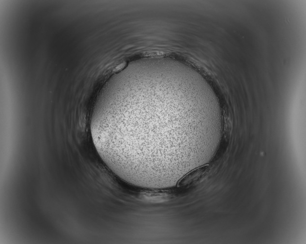 X0000086310331200704202007