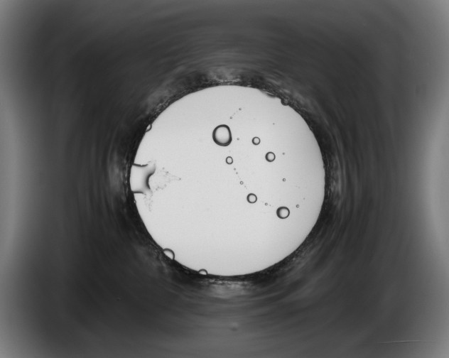 X0000086310332200704202007