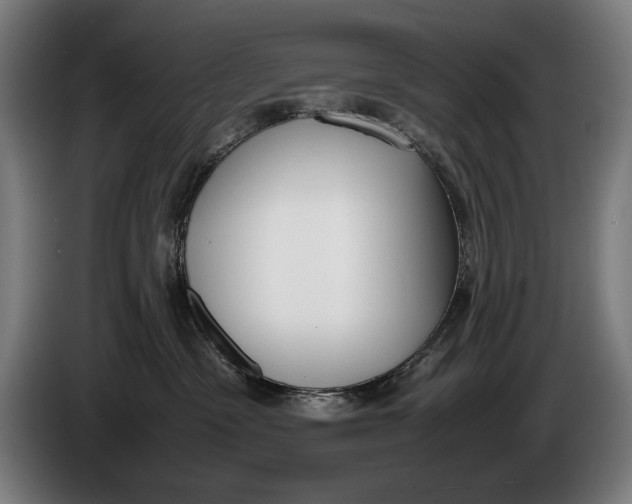 X0000086310333200704202007