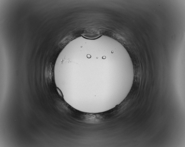 X0000086310334200704202007