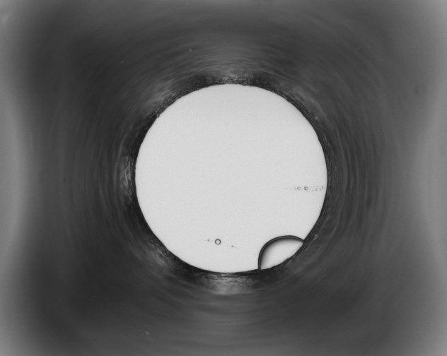 X0000086310336200704202007