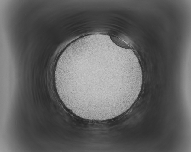 X0000086310337200704202006