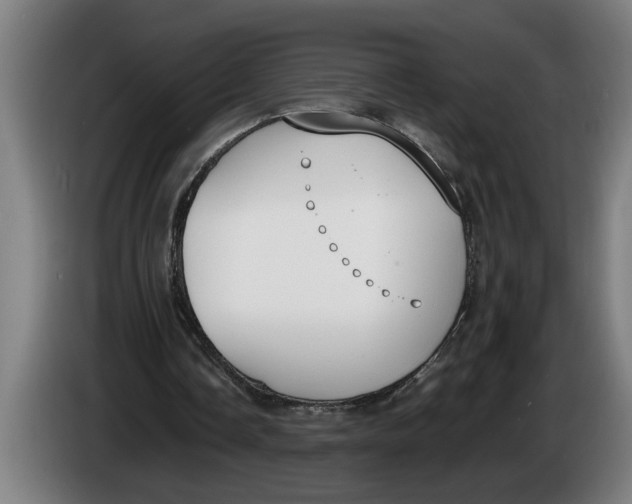 X0000086310338200704202006