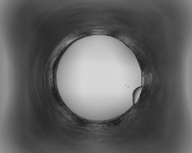 X0000086310339200704202006