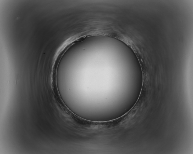 X0000086310340200704202006