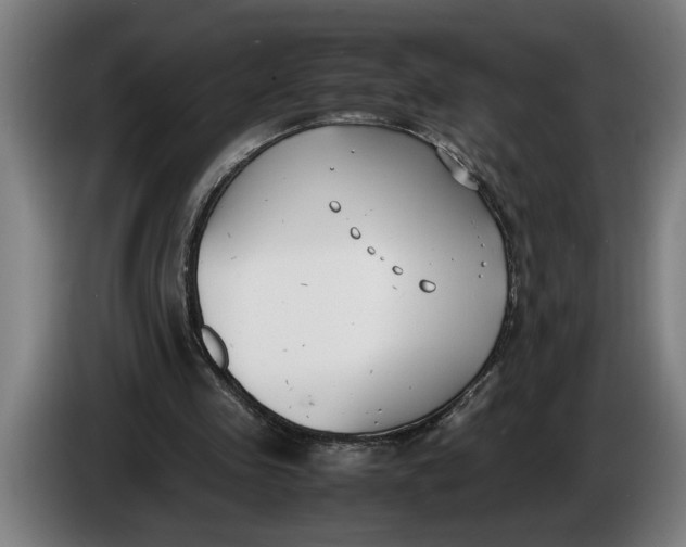 X0000086310341200704202006