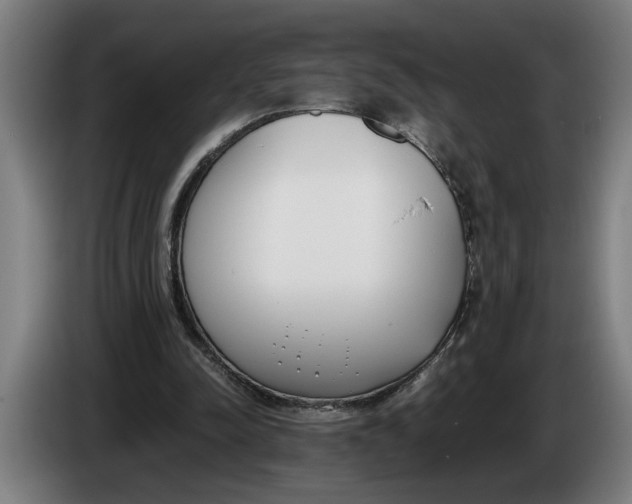 X0000086310342200704202006