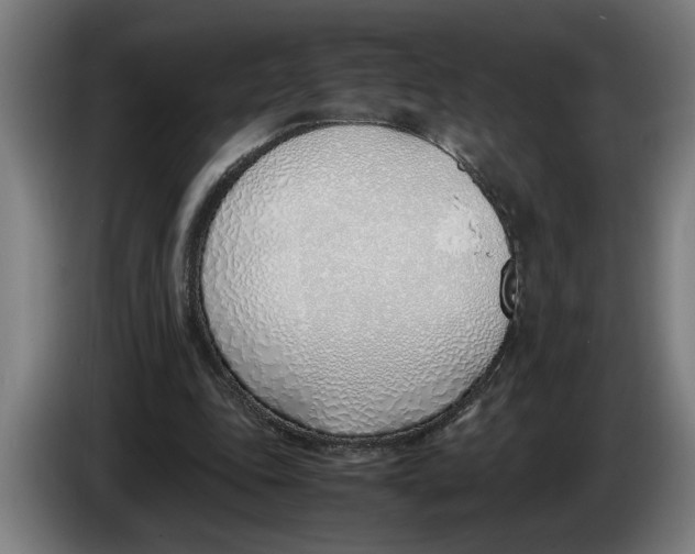 X0000086310343200704202006