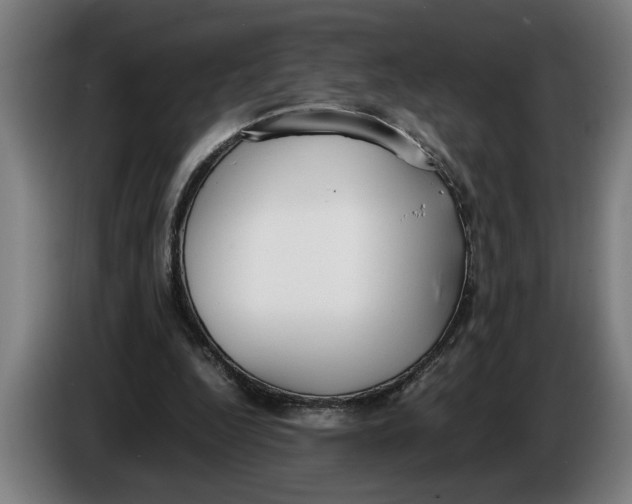 X0000086310344200704202006