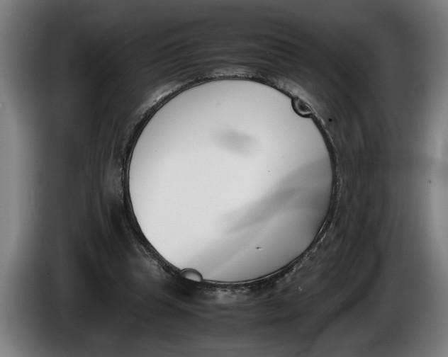 X0000086310345200704202007