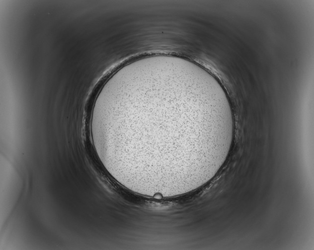 X0000086310346200704202007