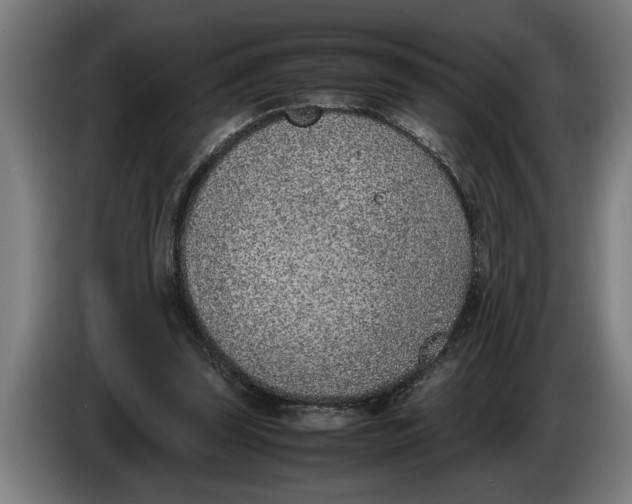 X0000086310347200704202007