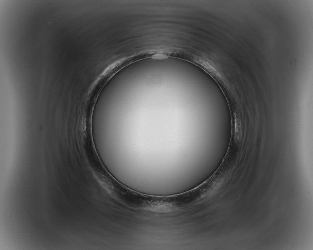 X0000086310348200704202007