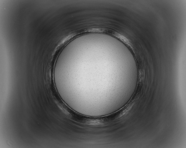 X0000086310349200704202007