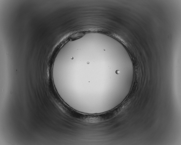 X0000086310350200704202007