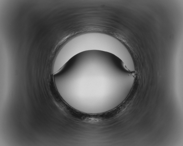 X0000086310352200704202007