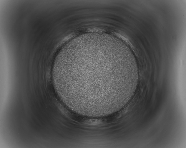 X0000086310353200704202007