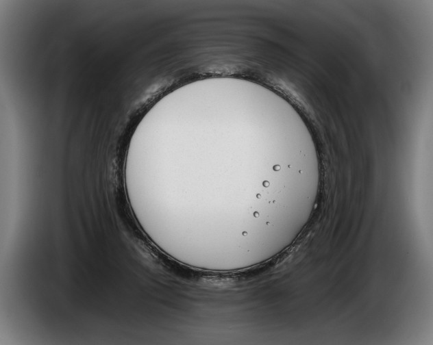 X0000086310354200704202007