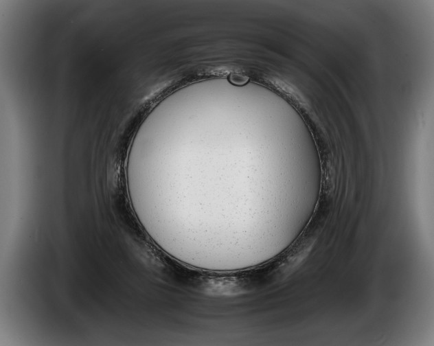 X0000086310355200704202007