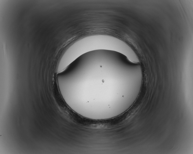 X0000086310356200704202007