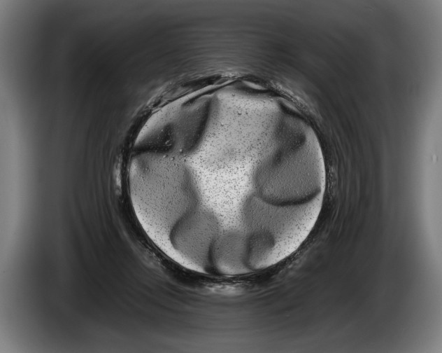 X0000086310358200704202007