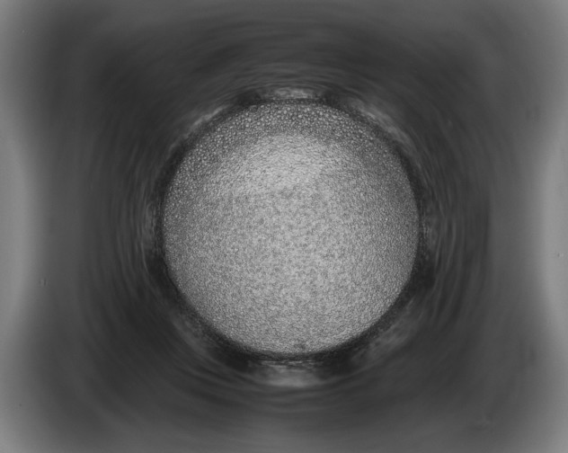 X0000086310359200704202007