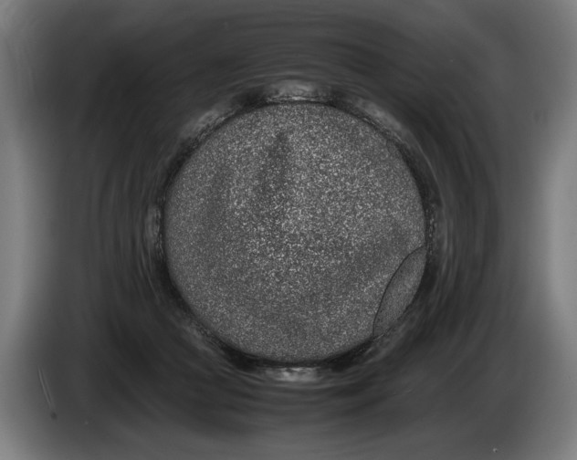 X0000086310361200704202007