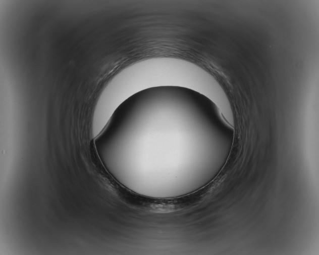 X0000086310362200704202007