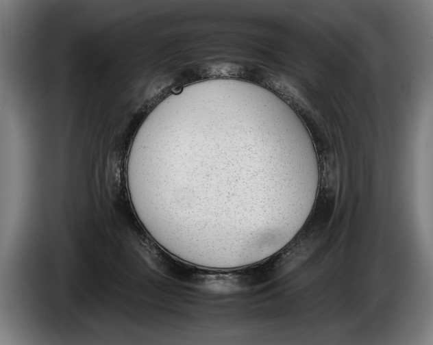 X0000086310363200704202007