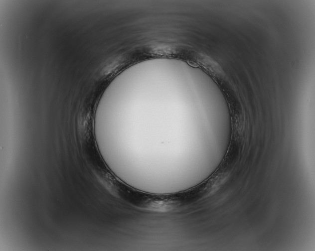 X0000086310364200704202007