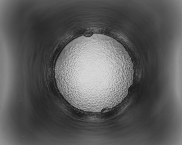 X0000086310365200704202007