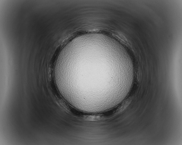 X0000086310366200704202007