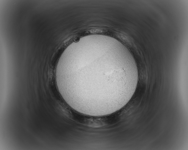 X0000086310367200704202007