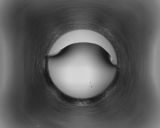 X0000086310368200704202007