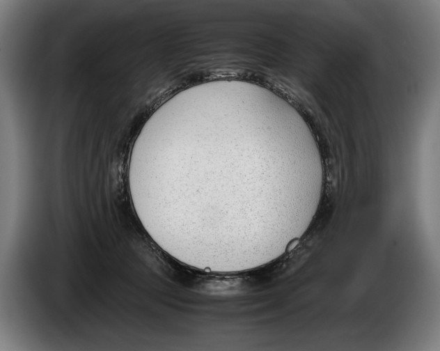 X0000086310369200704202007