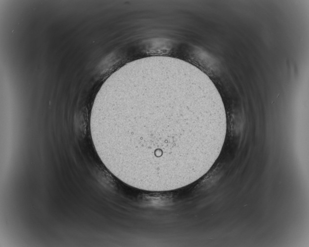 X0000086310370200704202007