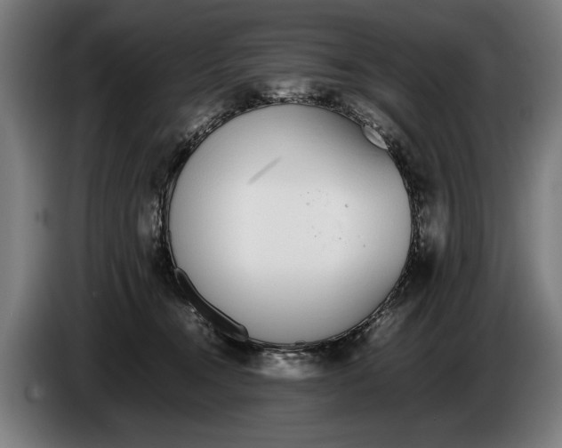 X0000086310372200704202007